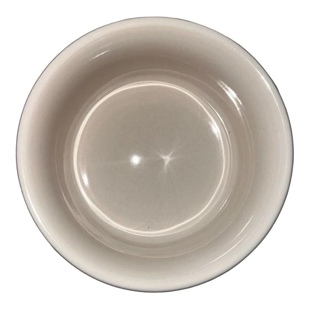 Rae Dunn DRINK Bowl Pet Dish White Ceramic Dog Cat Food Water Small